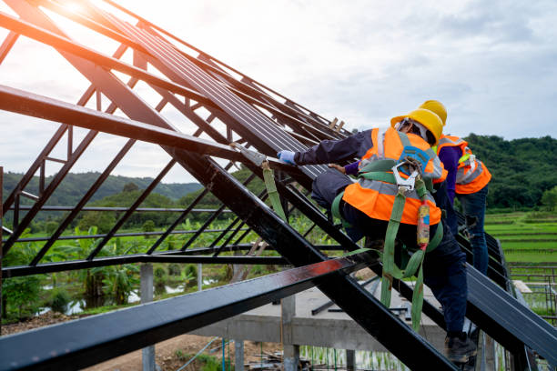 Best Roofing Contractor Near Me  in Coloma, MI