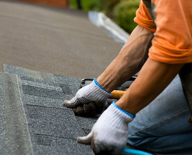 Best Roof Maintenance Services  in Coloma, MI