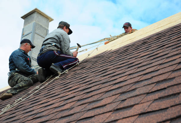 Best Local Roofing Companies  in Coloma, MI