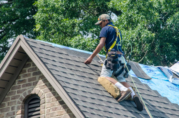 Best Storm Damage Roof Repair  in Coloma, MI